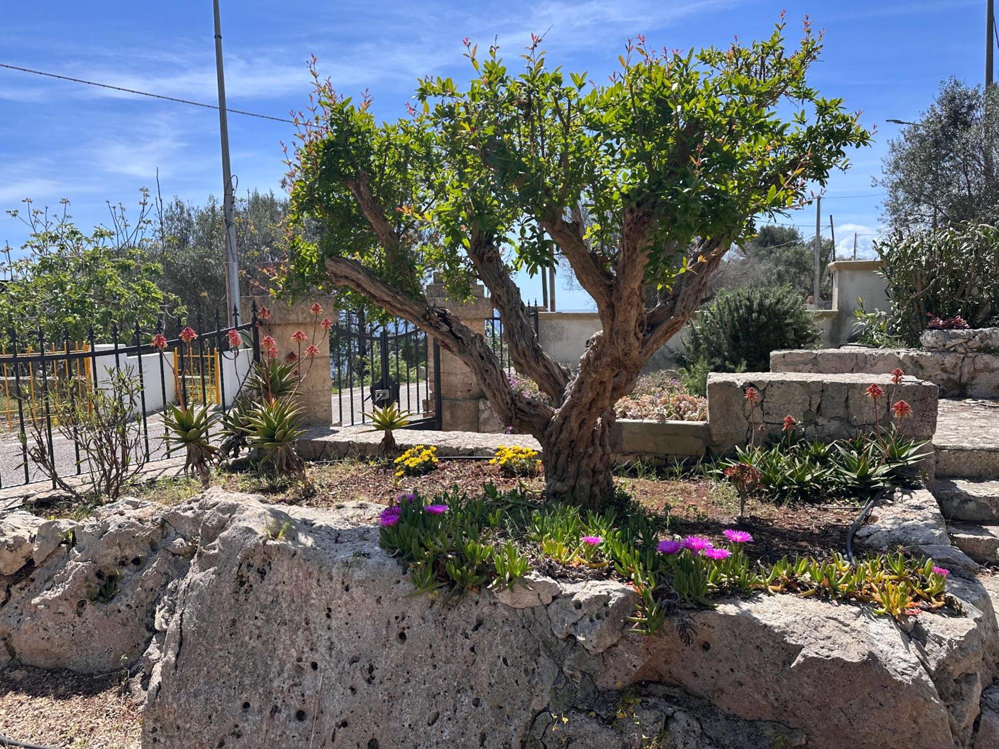 Pajara li Scalini Villa Marittima Bagian luar foto